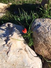 Çal İsmailler Köyü Resimleri 2