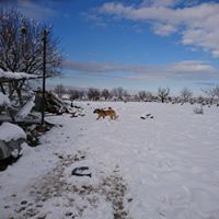 Çal Kabalar Köyü Resimleri 12