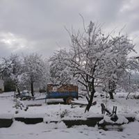 Çal Kabalar Köyü Resimleri 18