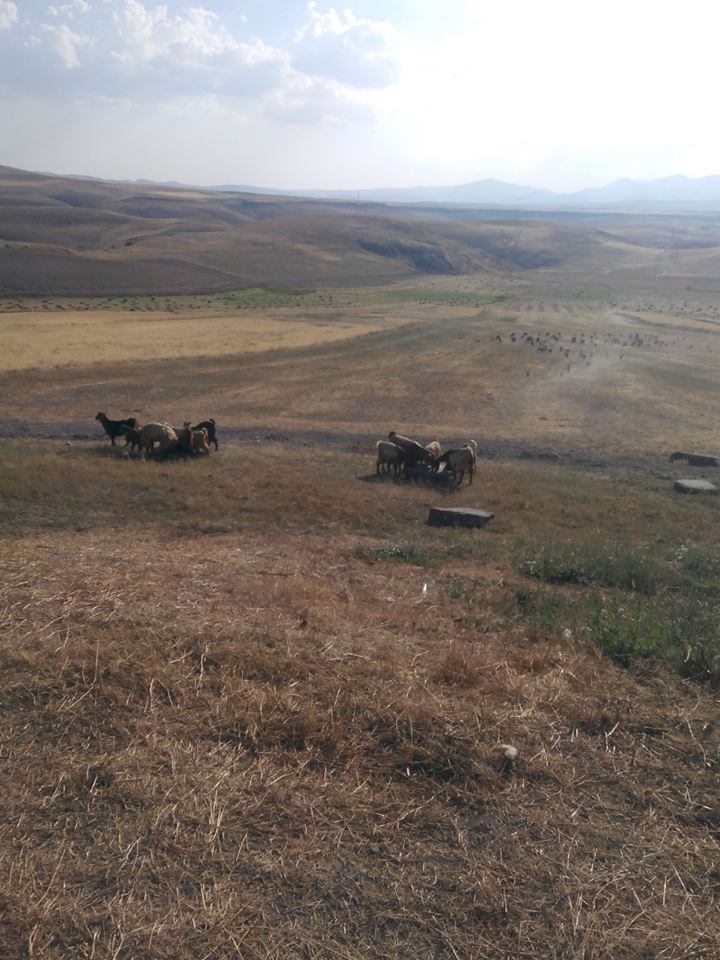 Gürün Hüyüklüyurt Köyü Resimleri 15