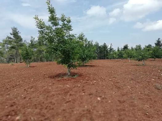 Çal Karakaya Köyü Resimleri 1