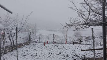 Çal Kocaköy Köyü Resimleri 2