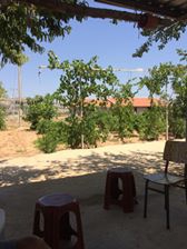 Çal Kocaköy Köyü Resimleri 3