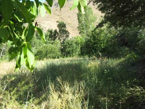 Erzincan Ballı Köyü Resimleri 1