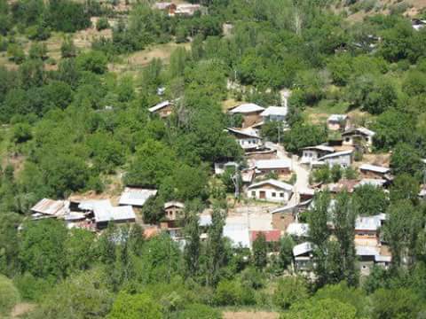 Erzincan Ballı Köyü Resimleri 2