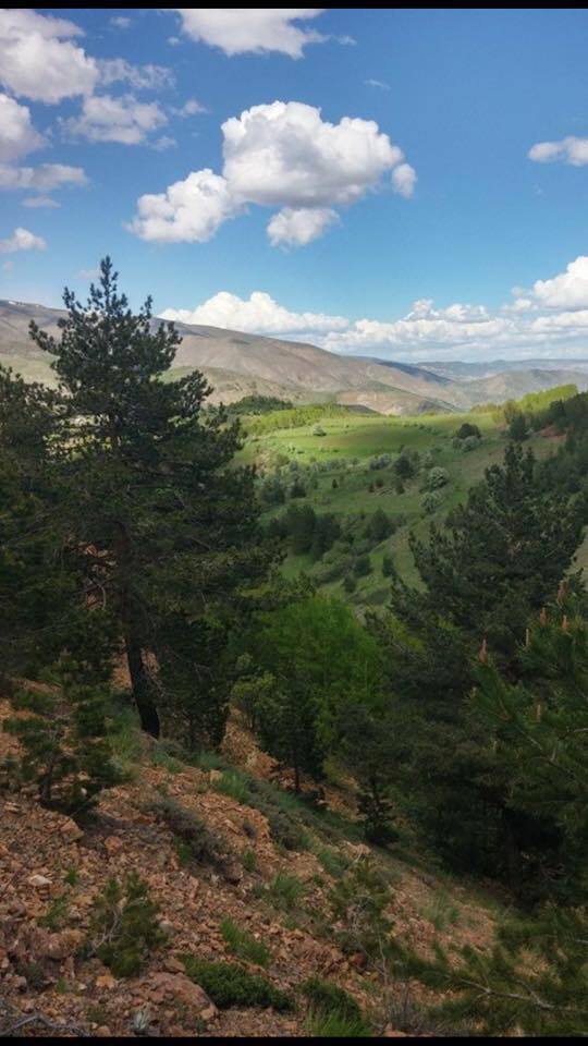 Erzincan Baltaşı Köyü Resimleri 9