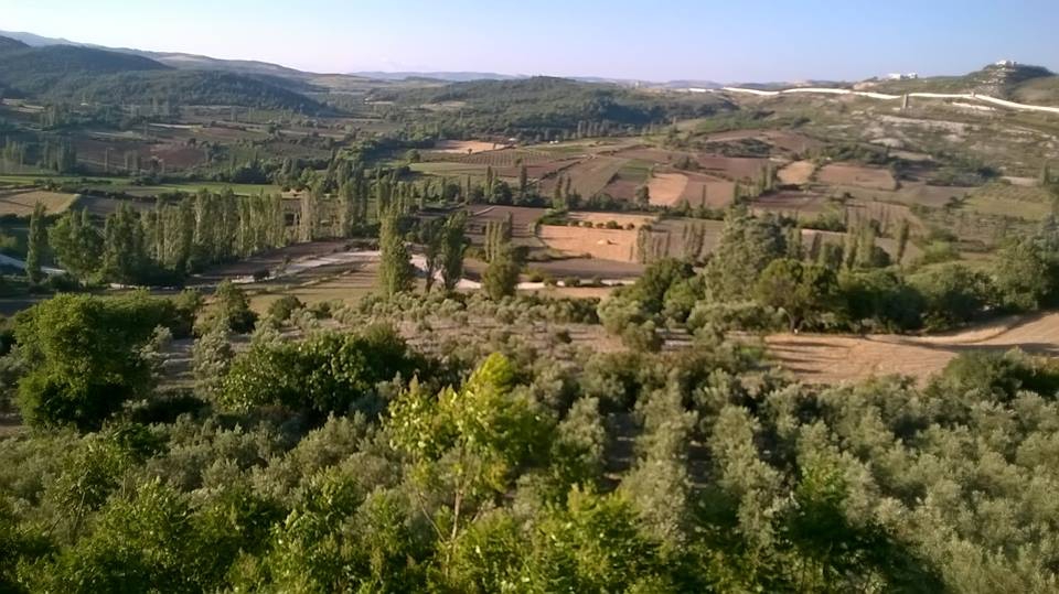 Yayladağı Güveççi Köyü Resimleri 7