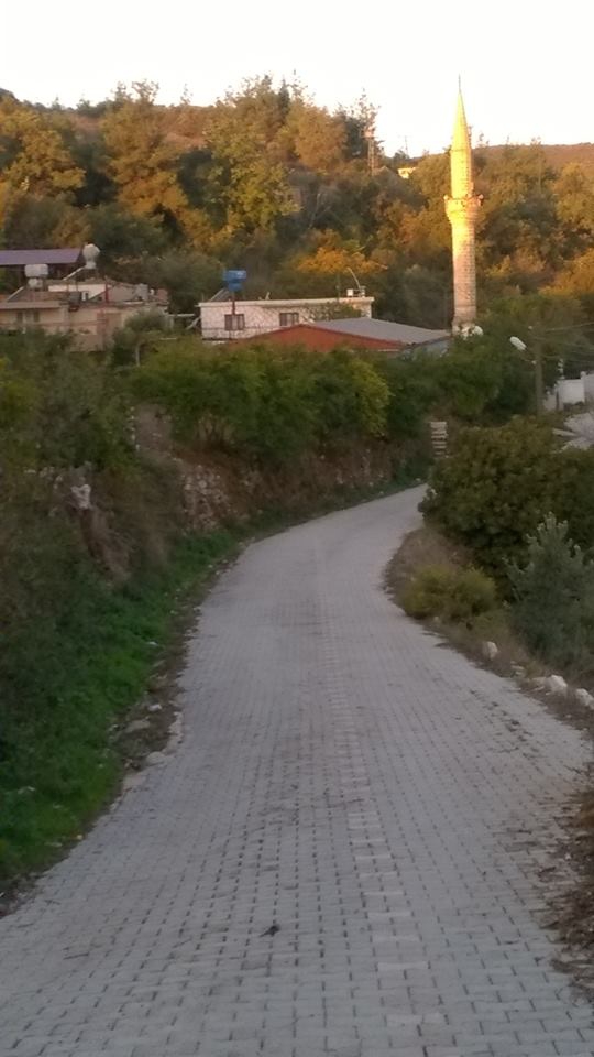 Yayladağı Güveççi Köyü Resimleri 8