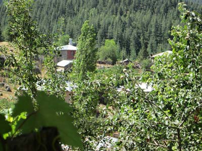 Adana Saimbeyli Halilbeyli Köyü Resimleri 23