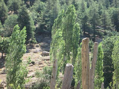 Adana Saimbeyli Halilbeyli Köyü Resimleri 24