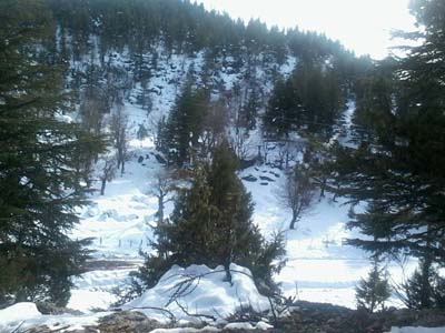 Adana Saimbeyli Halilbeyli Köyü Resimleri 3