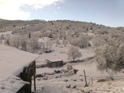 Adana Saimbeyli Halilbeyli Köyü Resimleri 35
