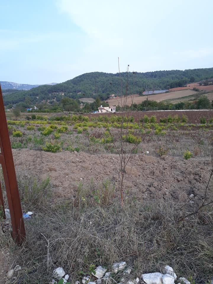 Yayladağı Tutlubahçe Köyü Resimleri 3