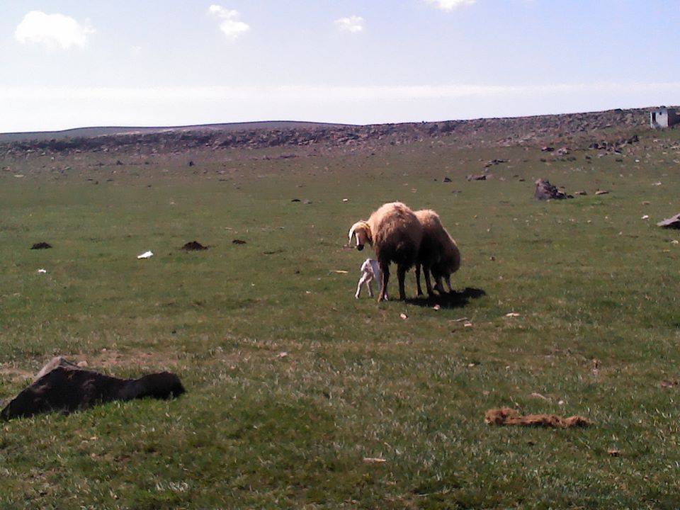 Gürün Karapınar Köyü Resimleri 12