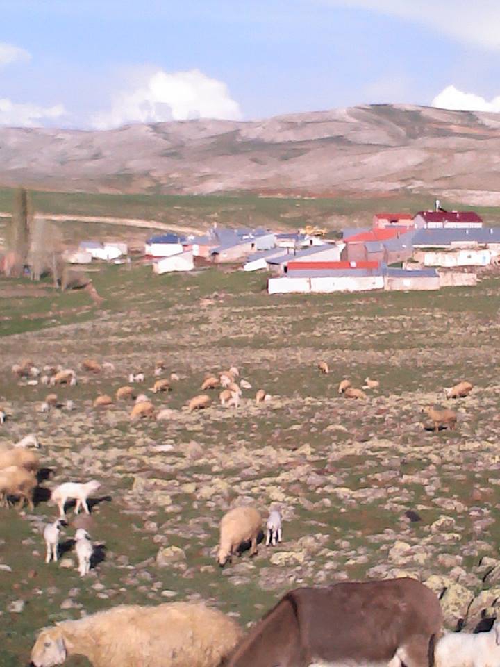 Gürün Karapınar Köyü Resimleri 15