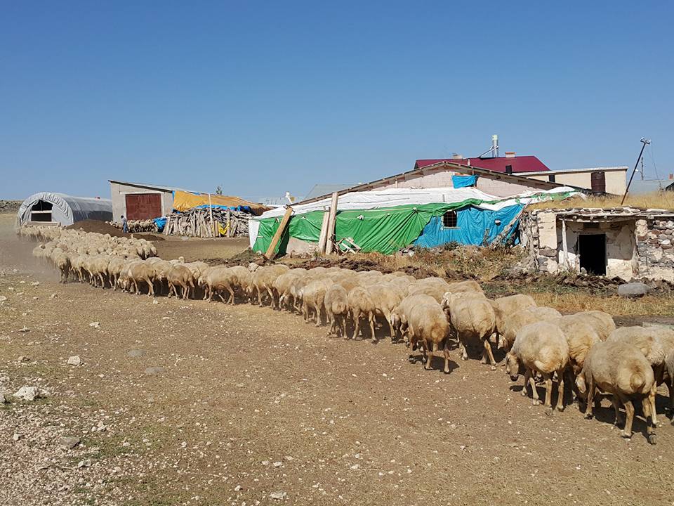 Gürün Karapınar Köyü Resimleri 8
