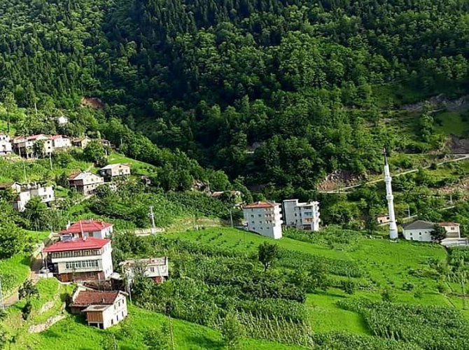 Araklı Taşgeçit Köyü 5