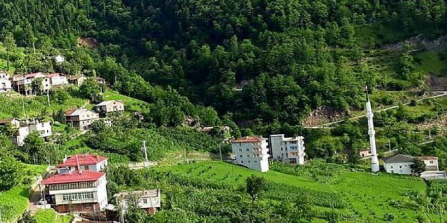 Araklı Taşgeçit Köyü