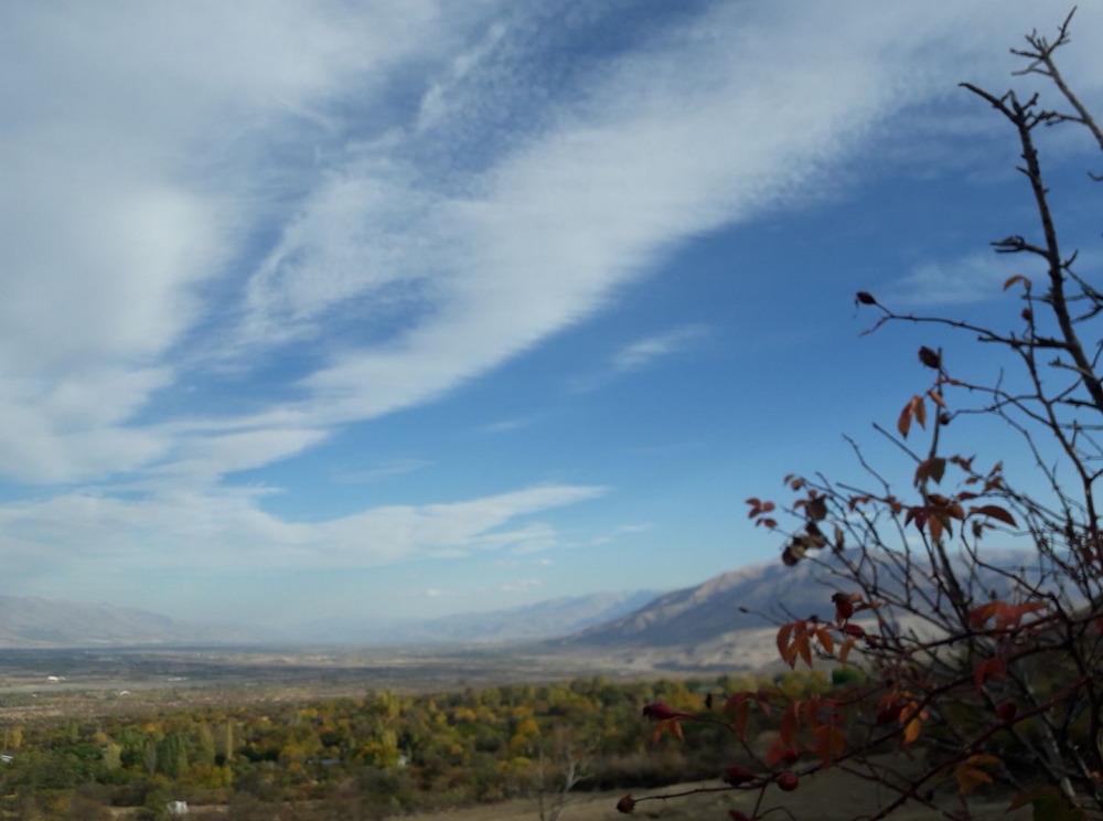 Erzincan Cevizli Köyü Resimleri 10