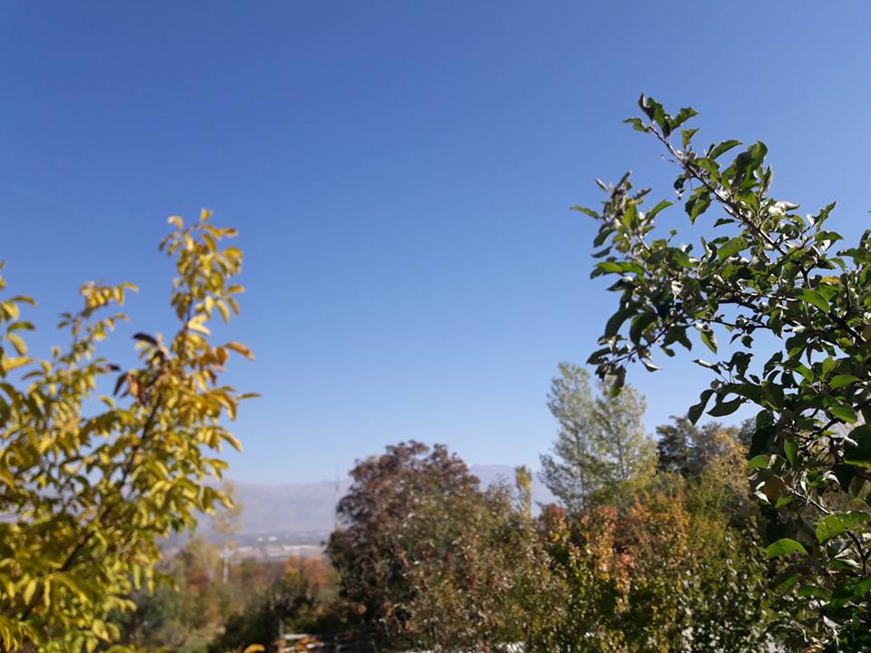 Erzincan Cevizli Köyü Resimleri 11