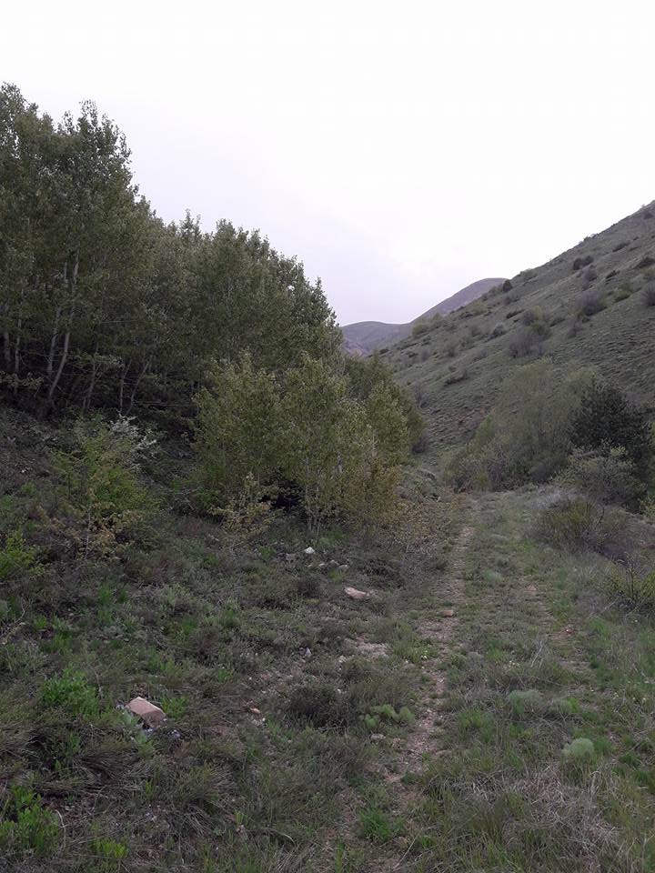 Erzincan Cevizli Köyü Resimleri 16