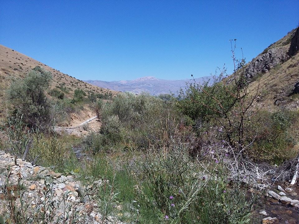 Erzincan Cevizli Köyü Resimleri 17