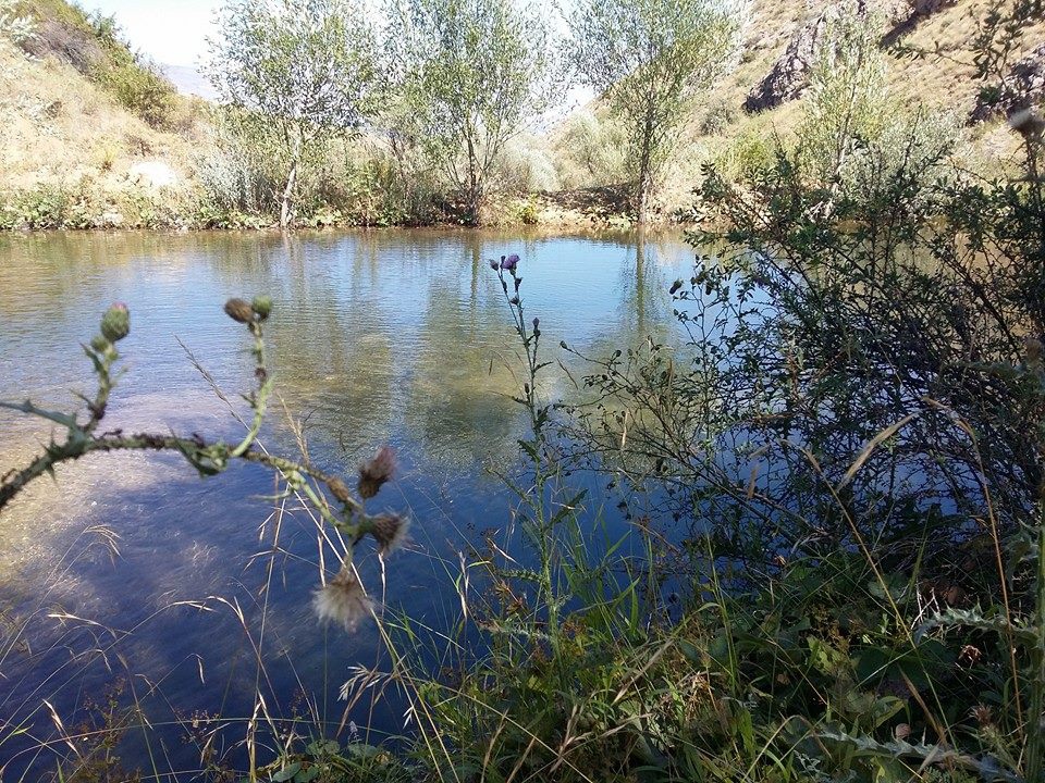 Erzincan Cevizli Köyü Resimleri 18