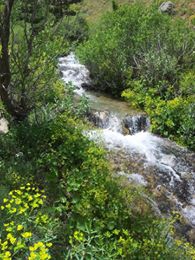 Erzincan Cevizli Köyü Resimleri 21