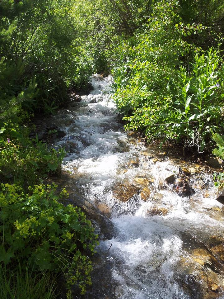 Erzincan Cevizli Köyü Resimleri 23