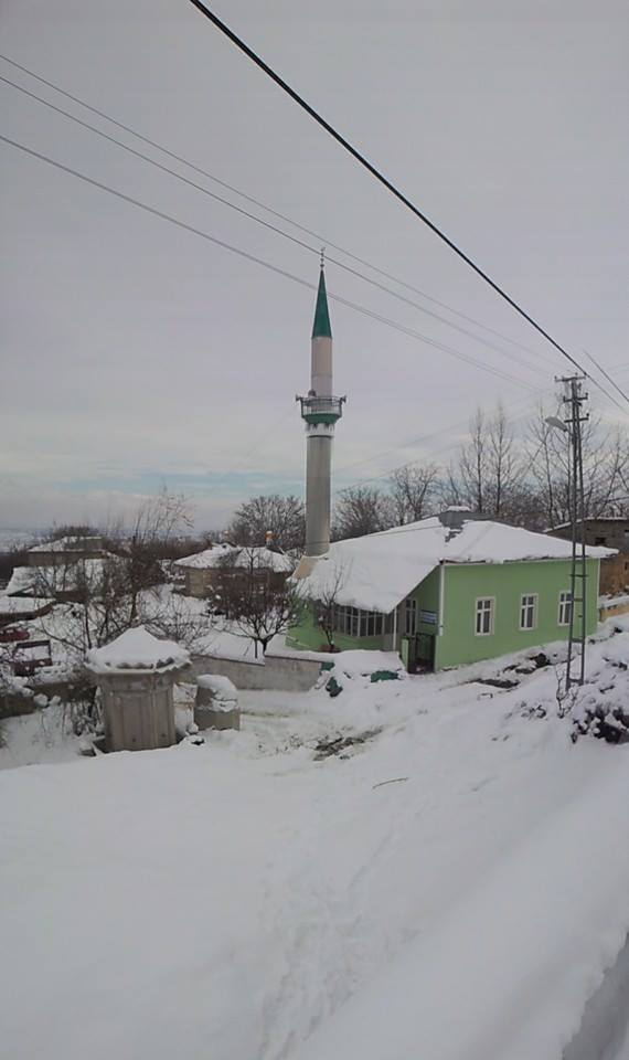 Erzincan Cevizli Köyü Resimleri 26