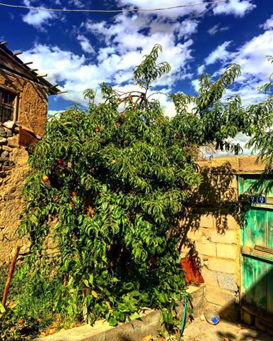 Erzincan Cevizli Köyü Resimleri 3