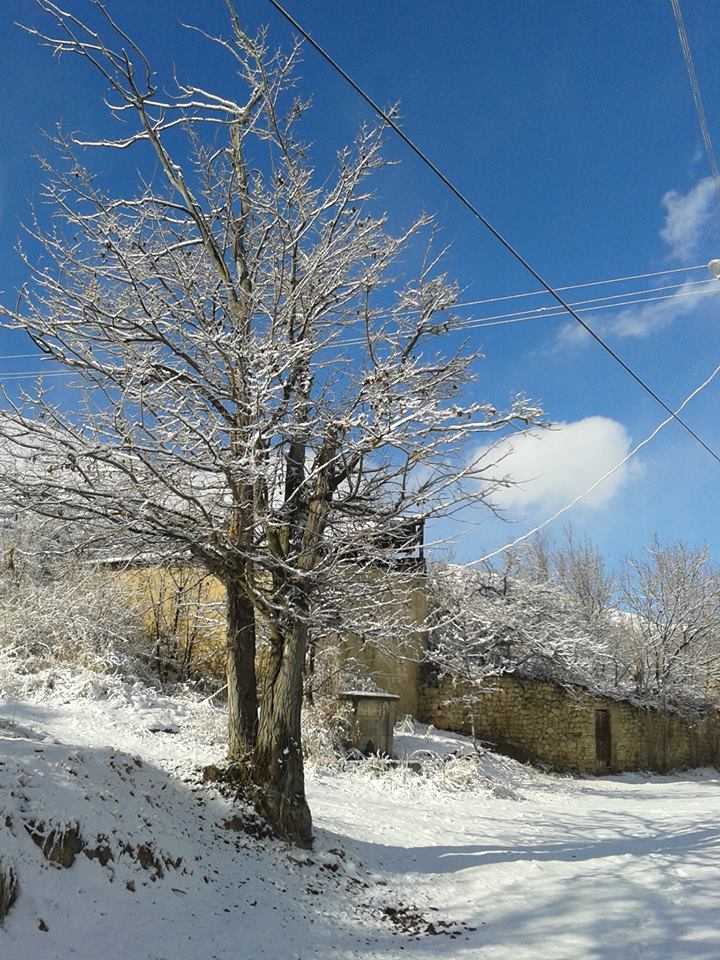 Erzincan Cevizli Köyü Resimleri 35