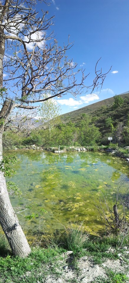 Erzincan Cevizli Köyü Resimleri 40