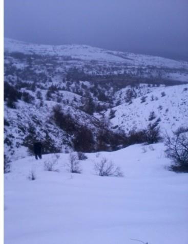 Erzincan Cevizli Köyü Resimleri 42