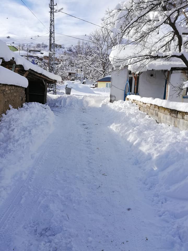 Erzincan Cevizli Köyü Resimleri 6