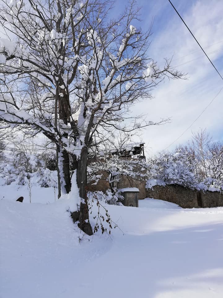 Erzincan Cevizli Köyü Resimleri 8