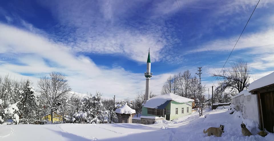 Erzincan Cevizli Köyü Resimleri 9