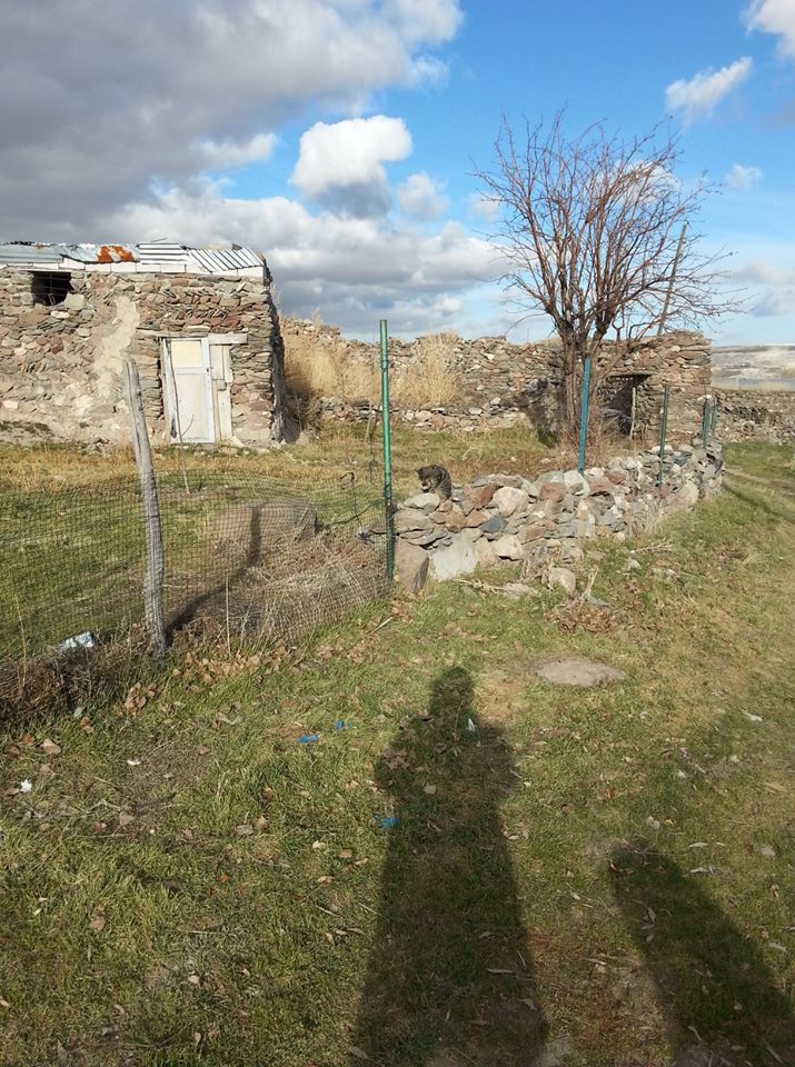 Gürün Karaören Köyü Resimleri 29