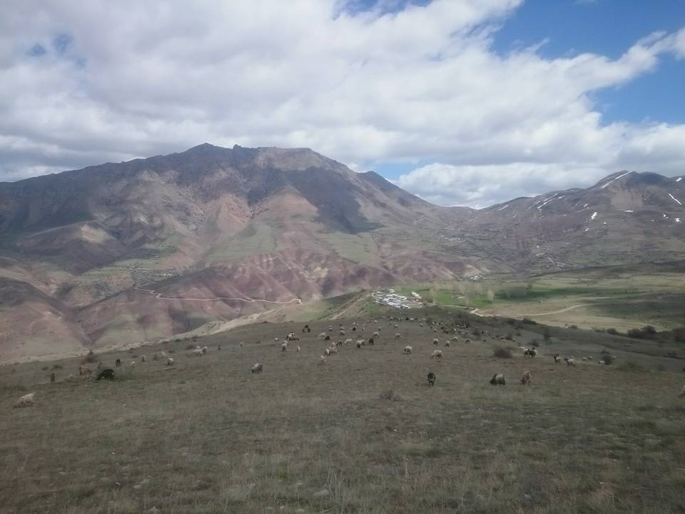 Erzincan Çubuklu Köyü Resimleri 1