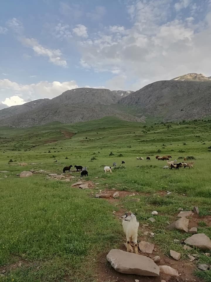 Erzincan Çubuklu Köyü Resimleri 7
