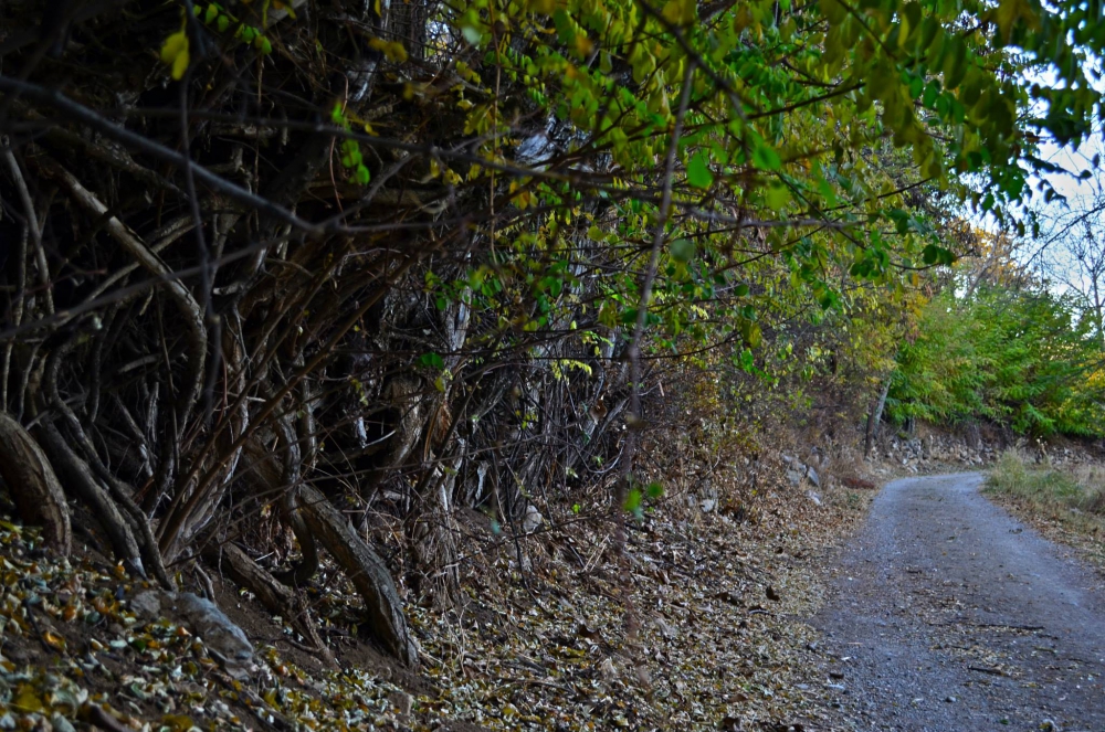 Erzincan Ekmekli Köyü Resimleri 2