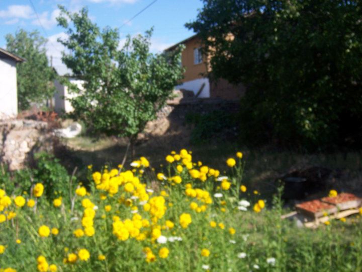 Erzincan Elmaköy Köyü Resimleri 1