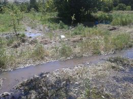 Erzincan Elmaköy Köyü Resimleri 10