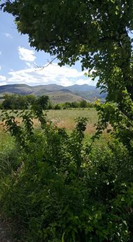 Erzincan Elmaköy Köyü Resimleri 13