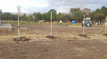 Erzincan Elmaköy Köyü Resimleri 4