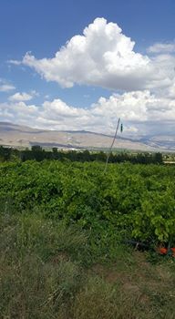 Erzincan Elmaköy Köyü Resimleri 8