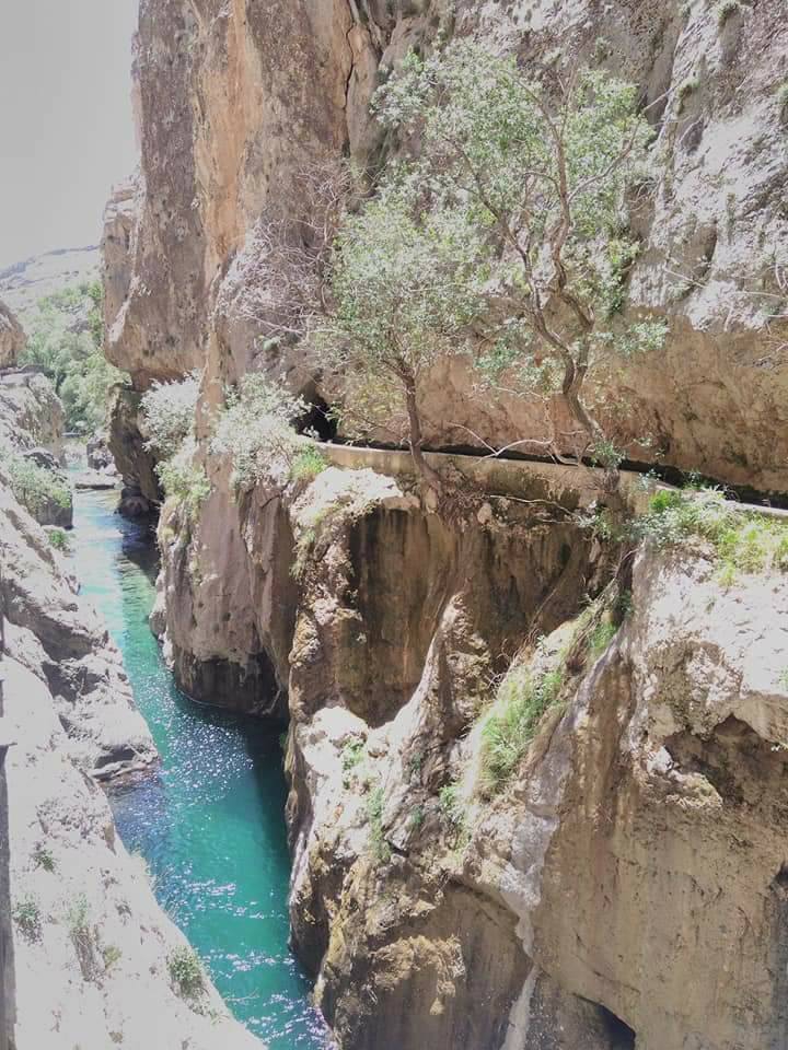 Gürün Kavak Köyü Resimleri 9