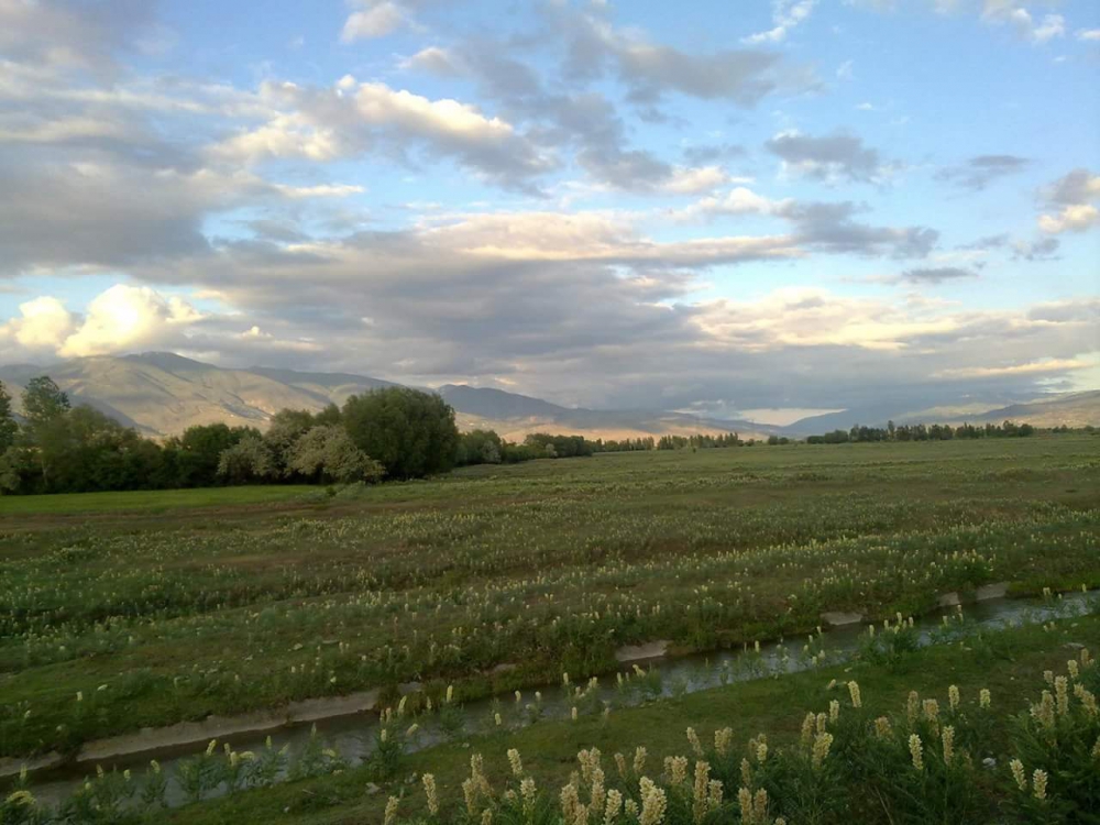 Erzincan Ganiefendi Çiftliği Köyü Resimleri 15