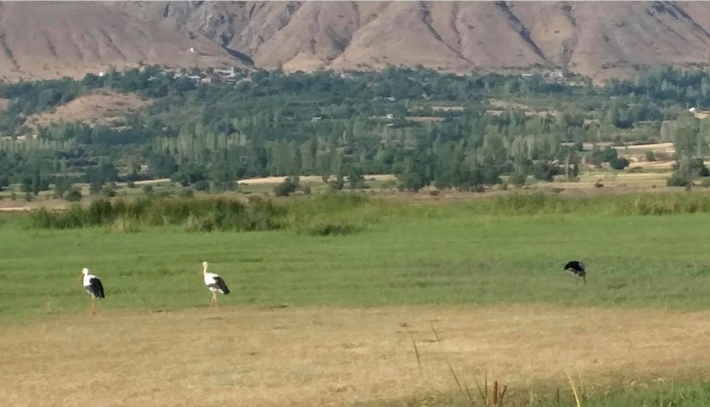 Erzincan Gölpınar Köyü Resimleri 10