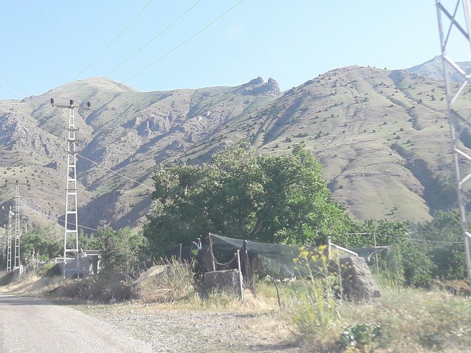 Erzincan Gölpınar Köyü Resimleri 8